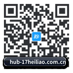 Android 饭圈版 二维码